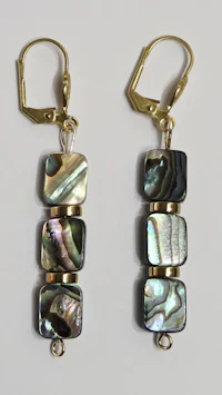 a pair of earrings with black and gold abana shells